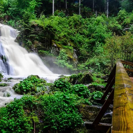 Weyl شقة Eschbach (Breisgau-Hochschwarzwald)